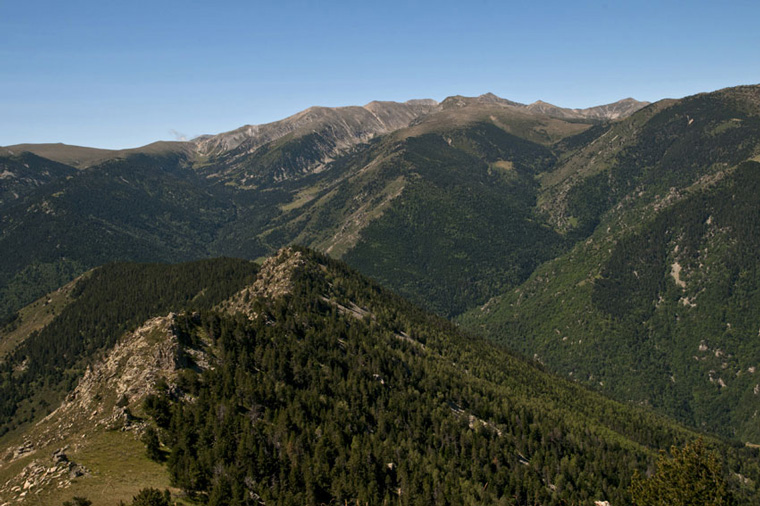 La réserve de Nyer