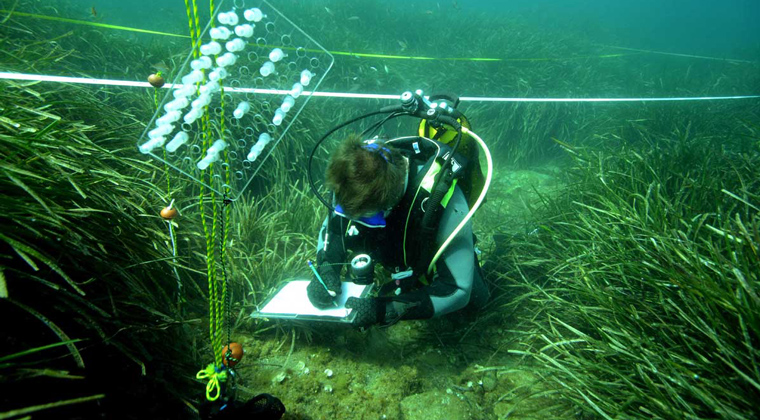 Recherche scientifique - Réserve Marine